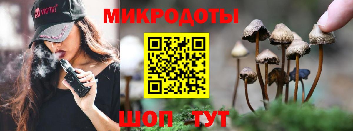Псилоцибиновые грибы GOLDEN TEACHER  наркотики  Керчь  Вход с VPN 